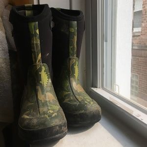 Dinosaur Winter Bogs